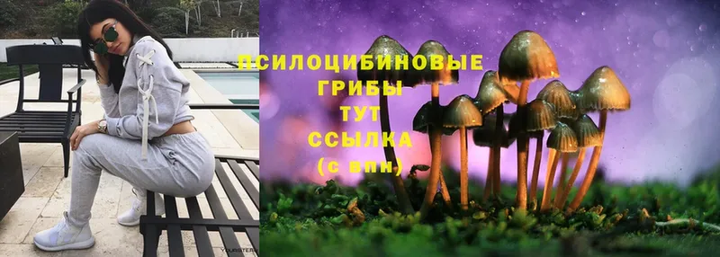 shop Telegram  Зеленокумск  Галлюциногенные грибы MAGIC MUSHROOMS 